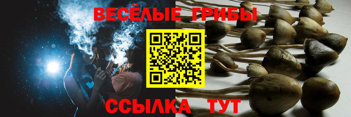 Ипатово  Псилоцибиновые грибы GOLDEN TEACHER  Вход с VPN 